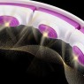 ZESTAW HULA HOP MAGNETYCZNY WHITE/VIOLET HHM17 Z LICZNIKIEM HMS + PAS WYSZCZUPLAJÄCY BR163 BLACK